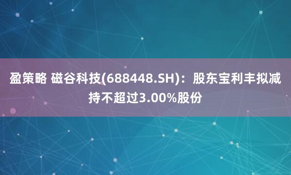 盈策略 磁谷科技(688448.SH)：股东宝利丰拟减持不超过3.00%股份