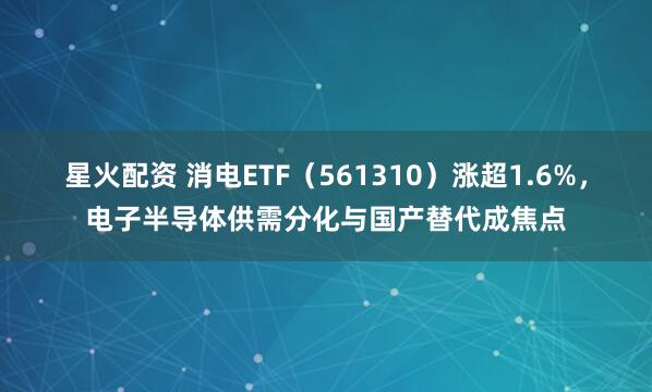 星火配资 消电ETF（561310）涨超1.6%，电子半导体供需分化与国产替代成焦点